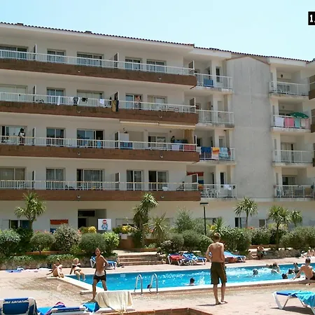 Apcostas Lotus * ブラナス